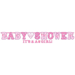 Shower with Love Girl Banner Co