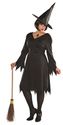 Wicked Witch Plus Size Adult Costume