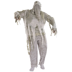 Mummified Men's Adult Costume - 2XL