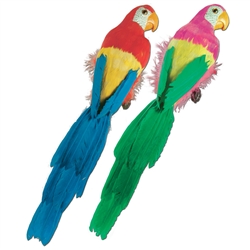 Feathered Parrot (20 in)
