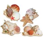 Seashell Cutouts