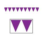 Purple Pennant Banner - 12'