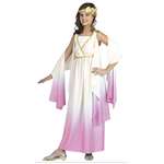 Athena Pink Ombre Girls Costume - Medium