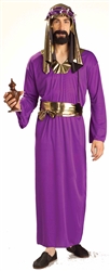 Wiseman Purple Adult Costume