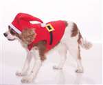 Pet Santa Suit Small Costume