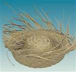 Bird'S Nest