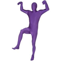 Purple Morphsuit Adult Medium