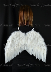 Angel Wings White 20X16 With Halo