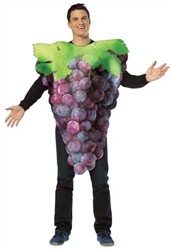 Bunch Of Purple Grapes Adult Costume