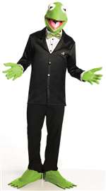 The Muppets - Kermit Adult Costume